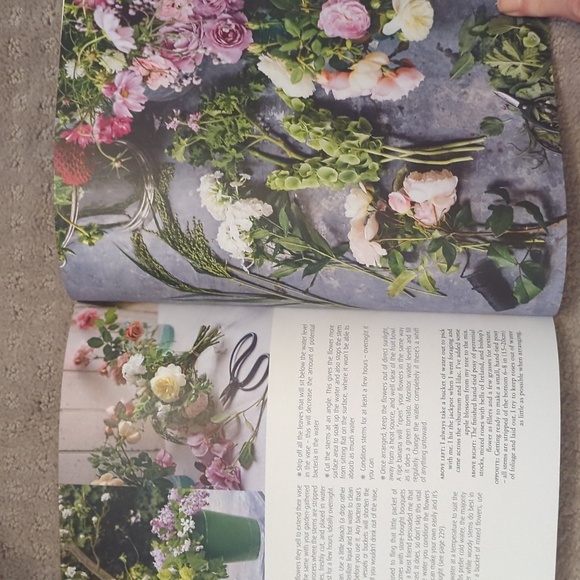 In Bloom book by Clare Nolan, new - Picture 6 of 6